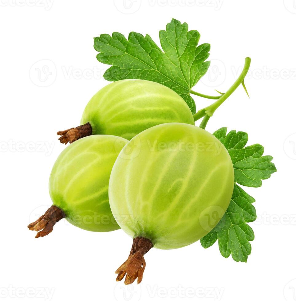 Green gooseberry with leaves isolated on white background photo