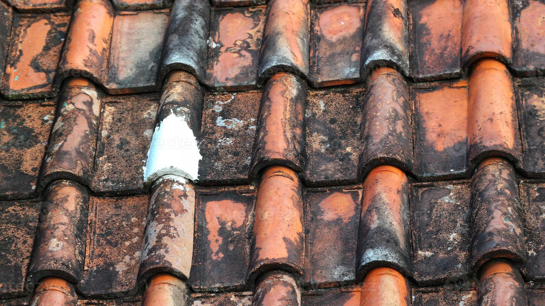 House tiles that are painted are leak-proof so that water doesn't seep in. photo