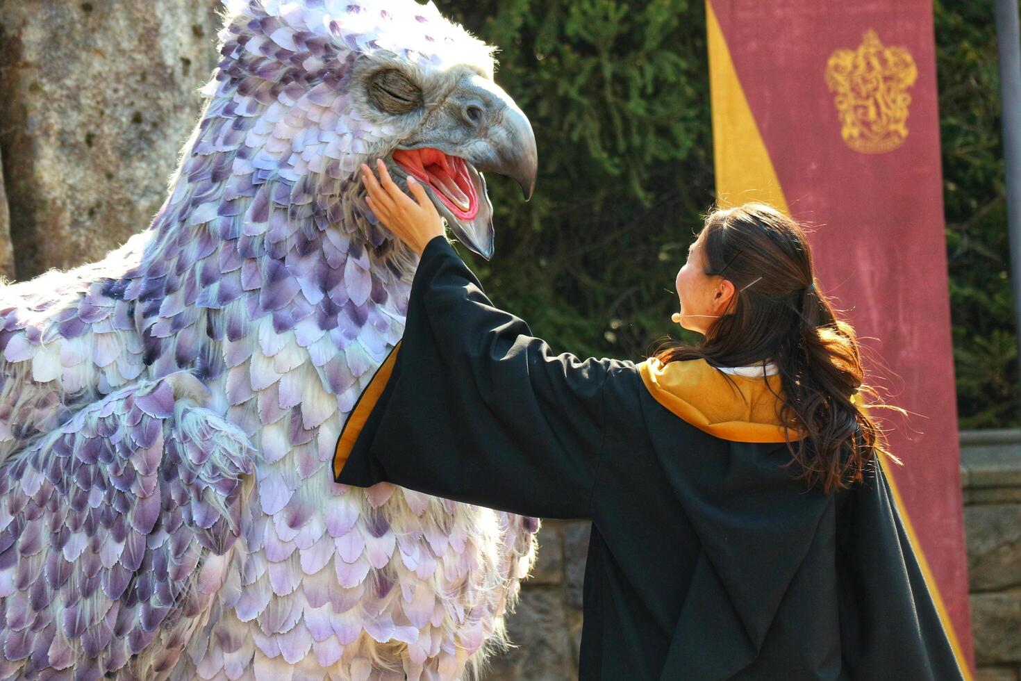 Osaka, Japan on October 1, 2023. USJ Harry Potter Area Magical Animals Hippogriff show photo