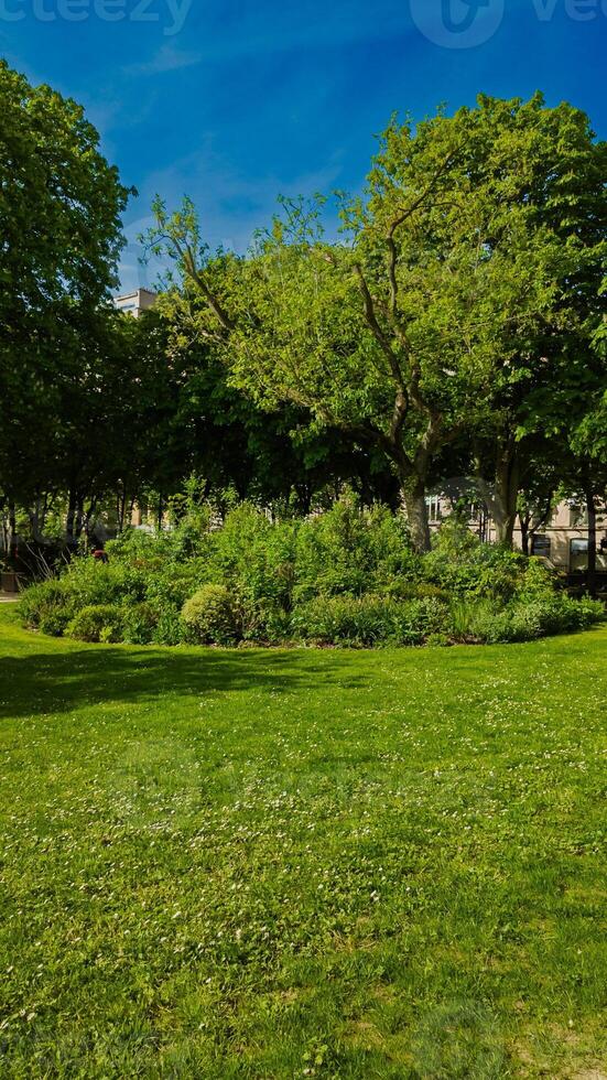 Lush green urban park on a clear day, perfect for Arbor Day promotions or springtime environmental awareness campaigns photo