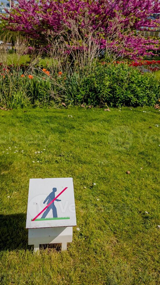 No walking sign on green grass with blooming purple trees in a park during spring, ideal for environmental conservation and public park regulations concepts photo