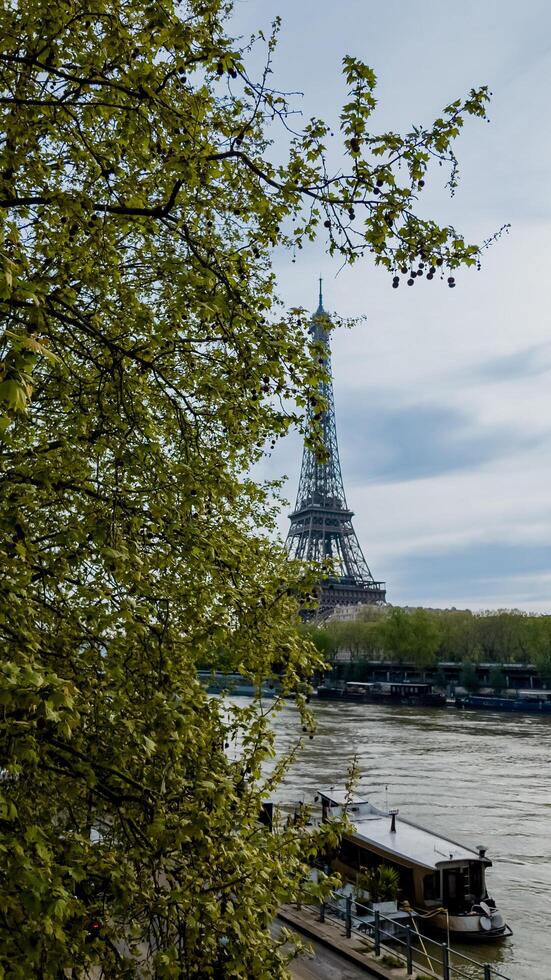 Springtime view of the Eiffel Tower framed by green foliage, overlooking the Seine River in Paris, France, captured on April 14th, 2024, ideal for travel and holiday themes photo