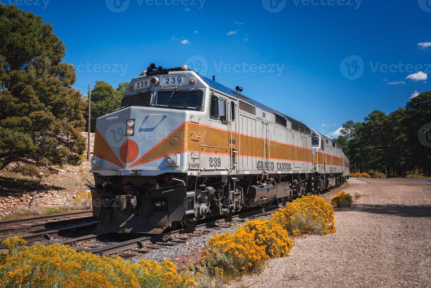 Grand Canyon Railway Train Number 239 Passing Through Nature photo