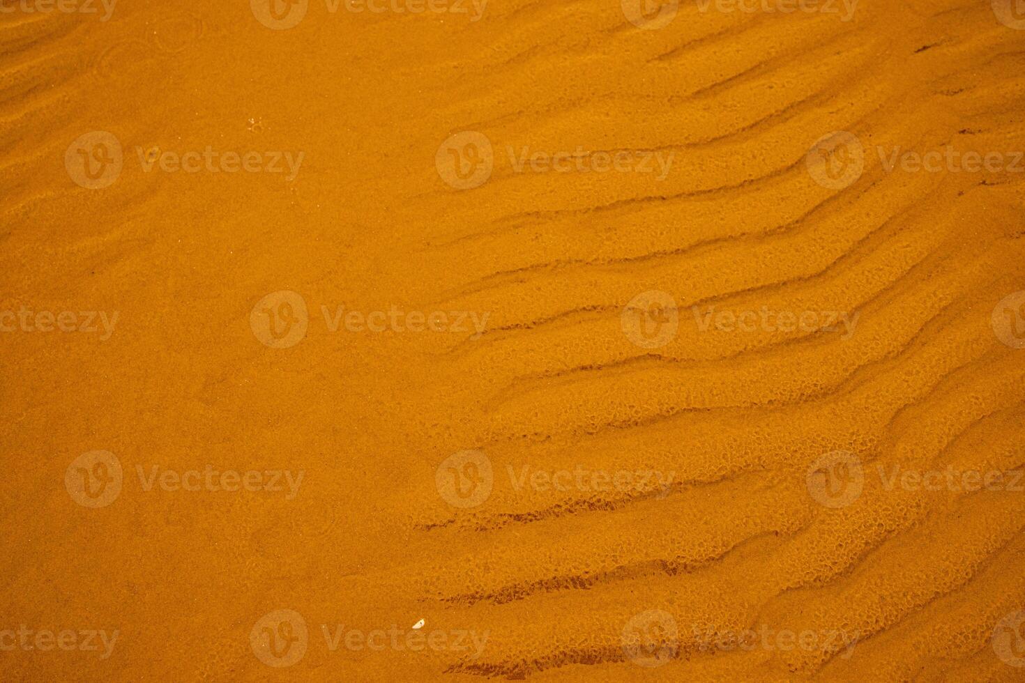 Wet sand with sea water on a whole background. Empty wavy sandy sea bottom. Exotic Sandy Ocean beach surface. Top view. Texture and Wave of Black Sand Beach During Low Tide Hours on A Hot Summer Day photo