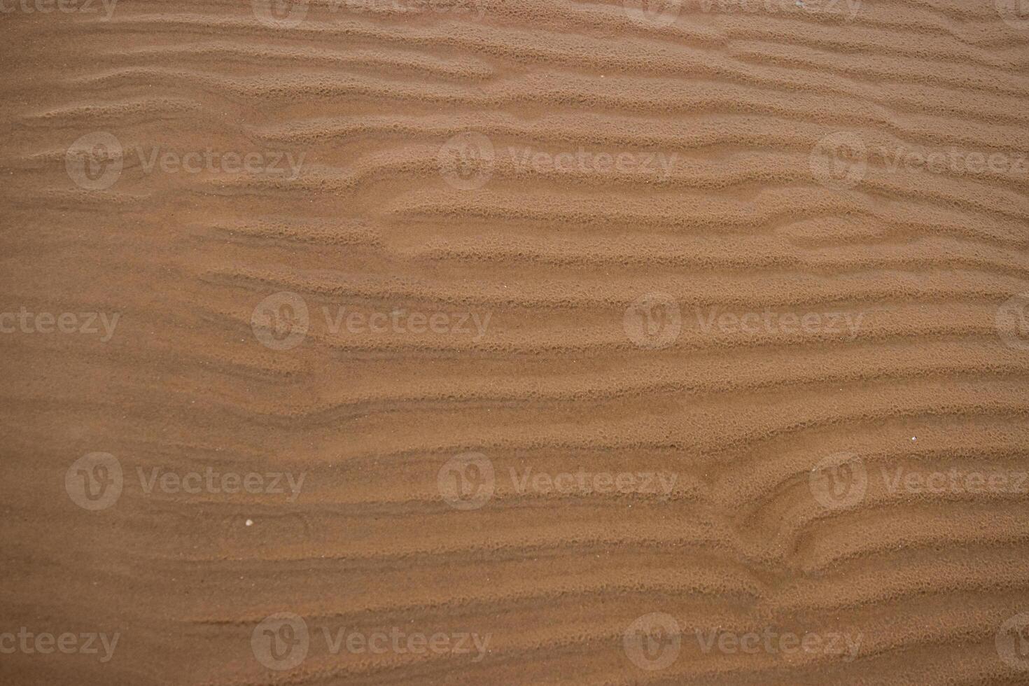 Seamless wet sand with sea water on a whole background. Empty wavy sandy sea bottom. Exotic Sandy Ocean beach surface. Top view. Simple, minimalistic photo. Ideal concept for banner, poster, ads. photo