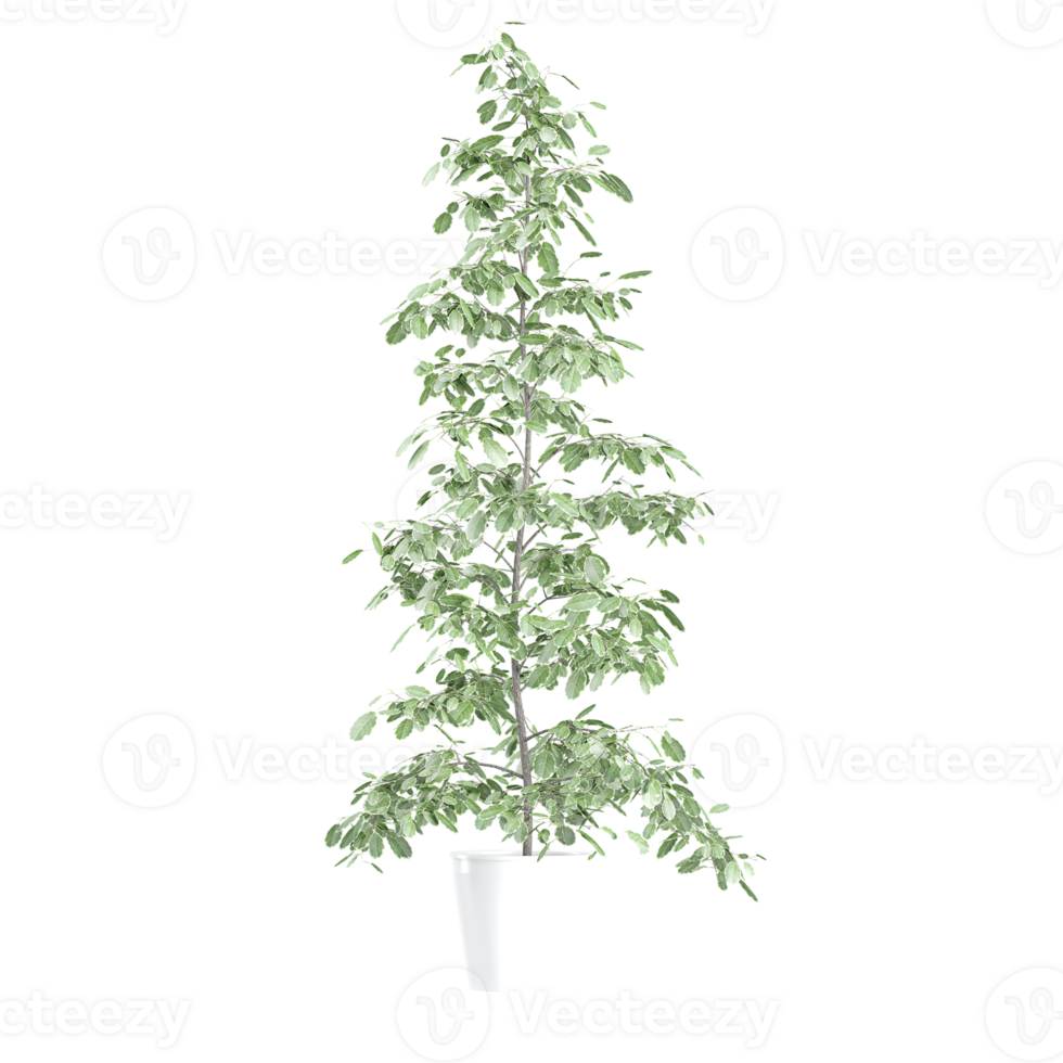 collection of tree with realistic style png