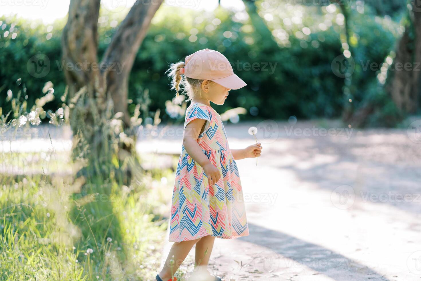 Little girl with a dandelion in her hand walks along the path in the park. Side view photo