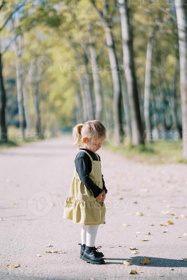 Little girl looks at fallen leaves while standing on the road in an autumn park. Side view photo