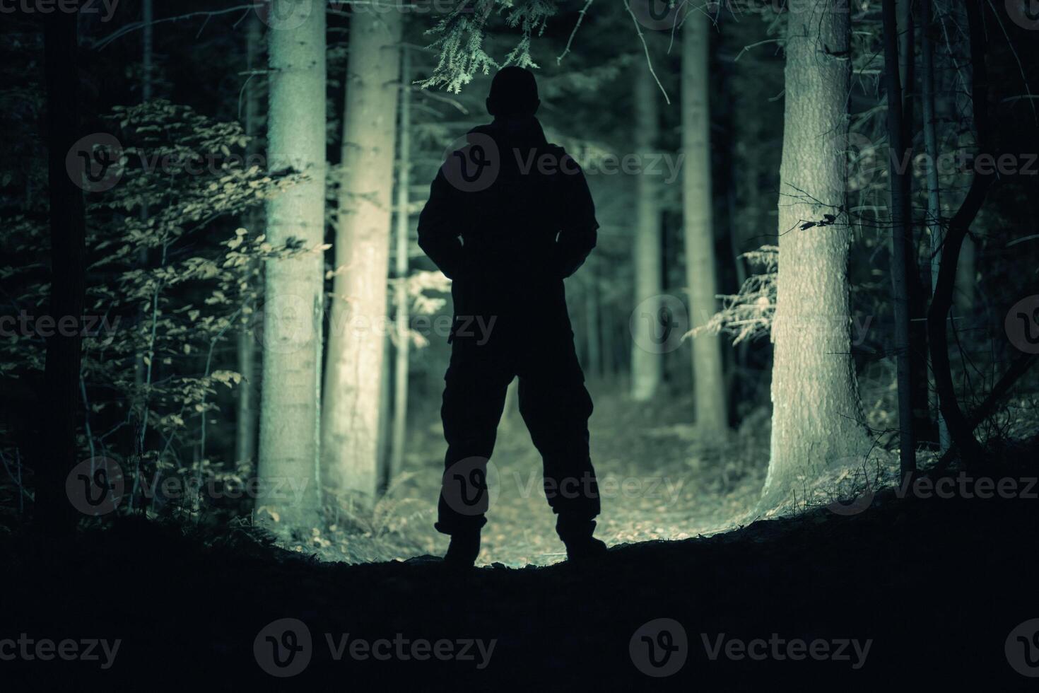 Forest Search Using Powerful Flashlight photo