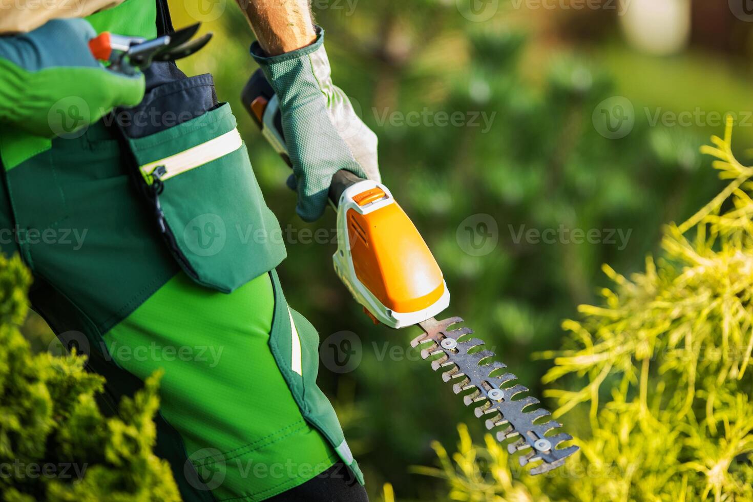 Gardener with a Cordless Plants Trimmer in His Hand photo
