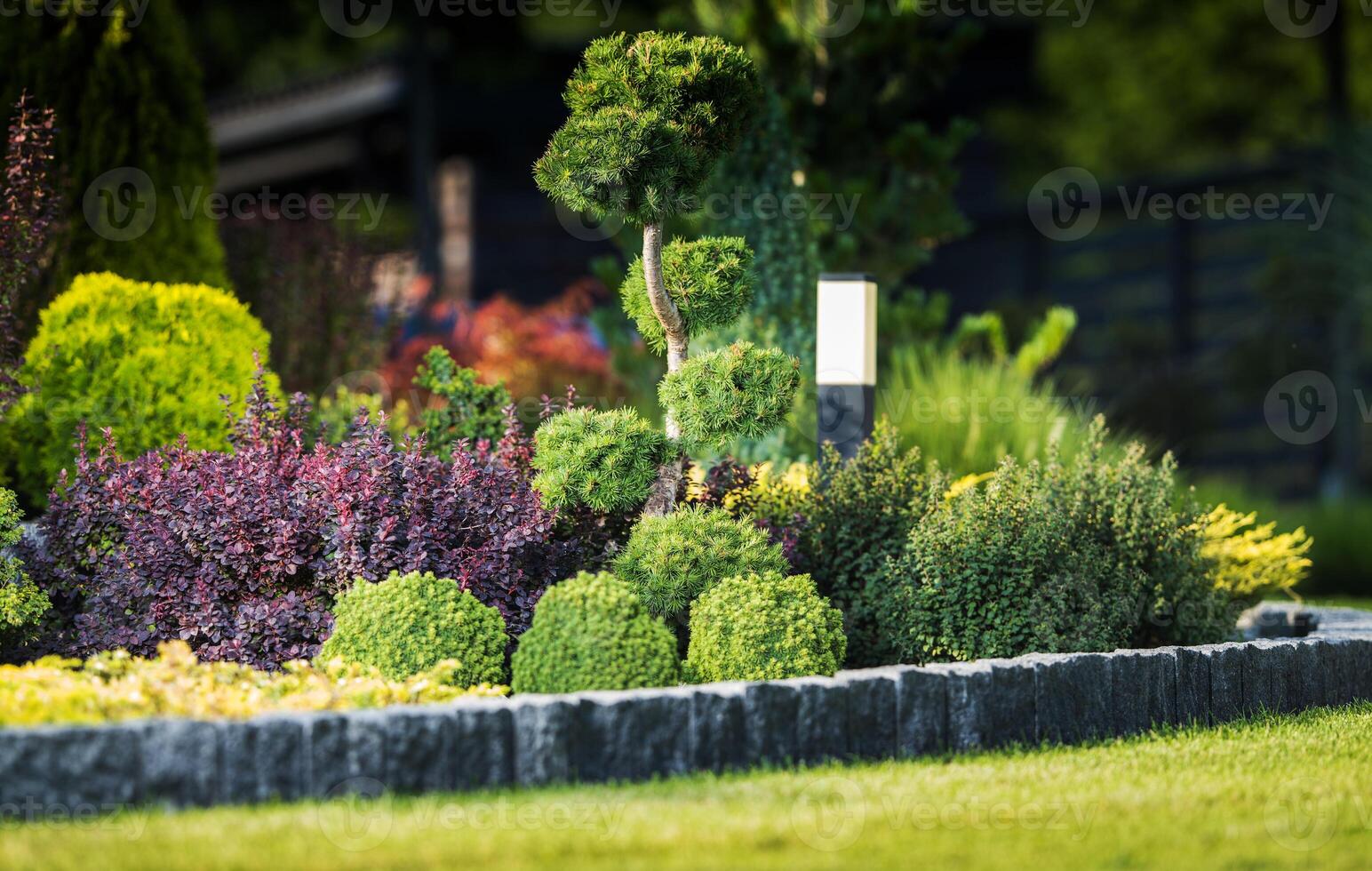 Scenic Residential Rockery Garden photo