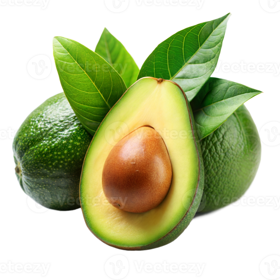 Avocado with vibrant green leaves isolated on transparent png