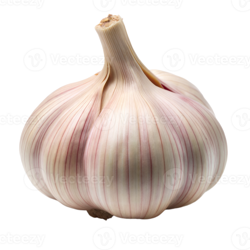 A close-up of a whole garlic bulb png