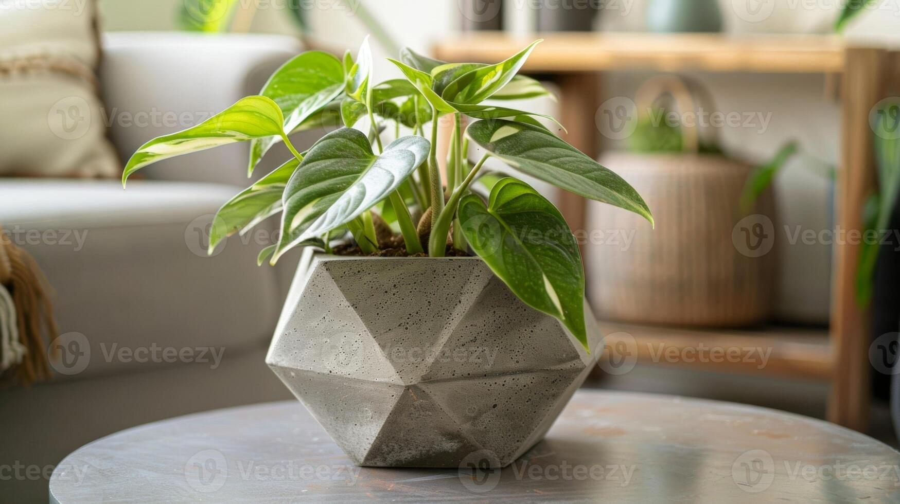 A finished planter in a unique and original shape such as a hexagon or a pyramid adding a contemporary touch to any room. photo