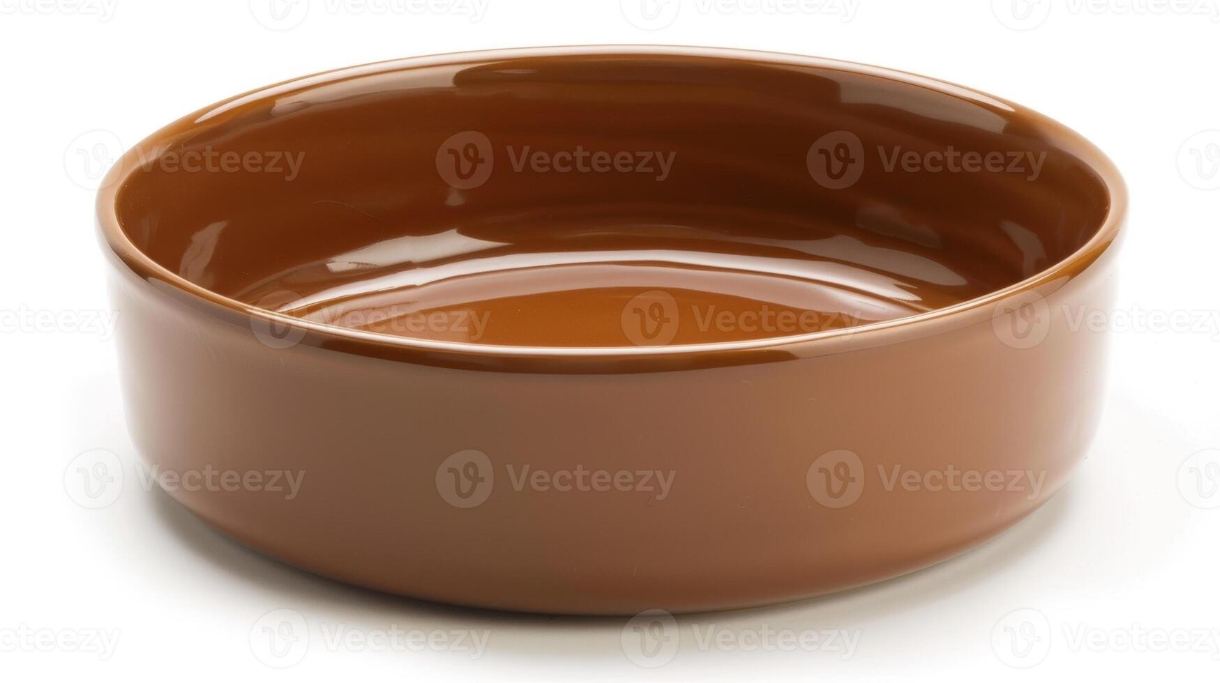 An image of a ceramic pet bowl with a glossy finish highlighting the quality and craftsmanship of these personalized bowls. photo