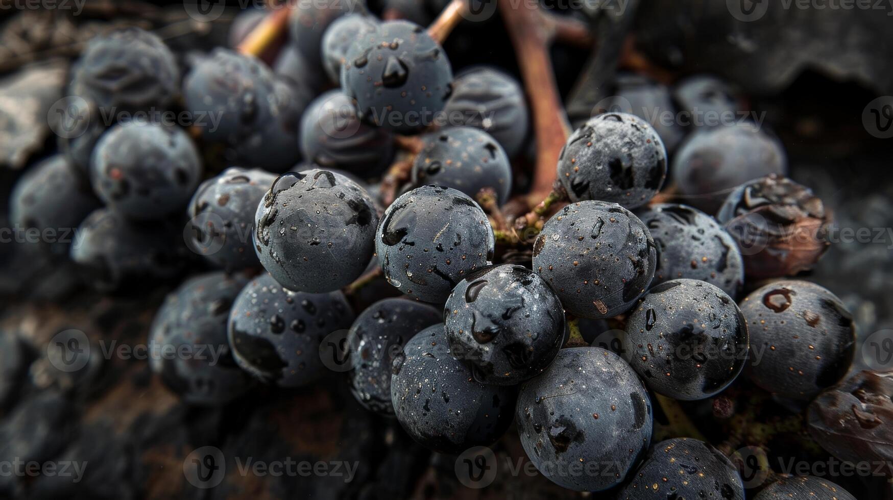The smooth velvety texture of a vintage Merlot sliding down the throat leaving behind an earthy aftertaste photo
