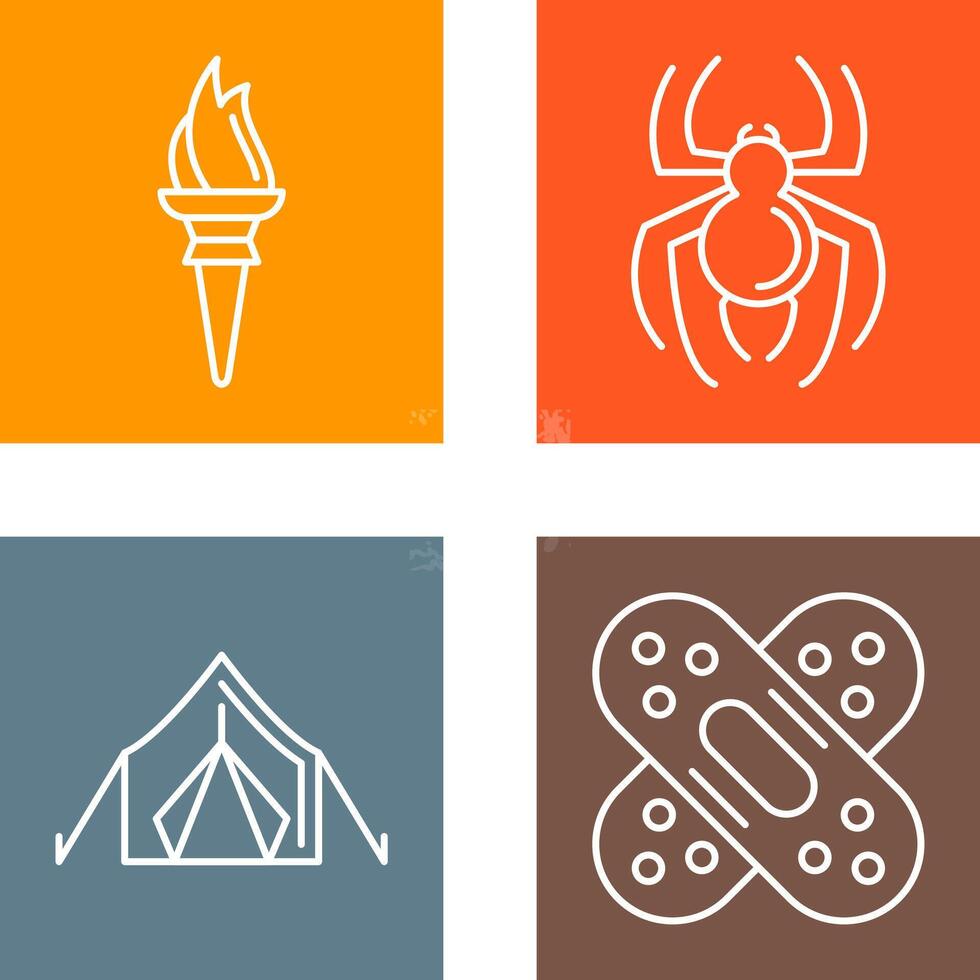 Torch and Spider Icon vector