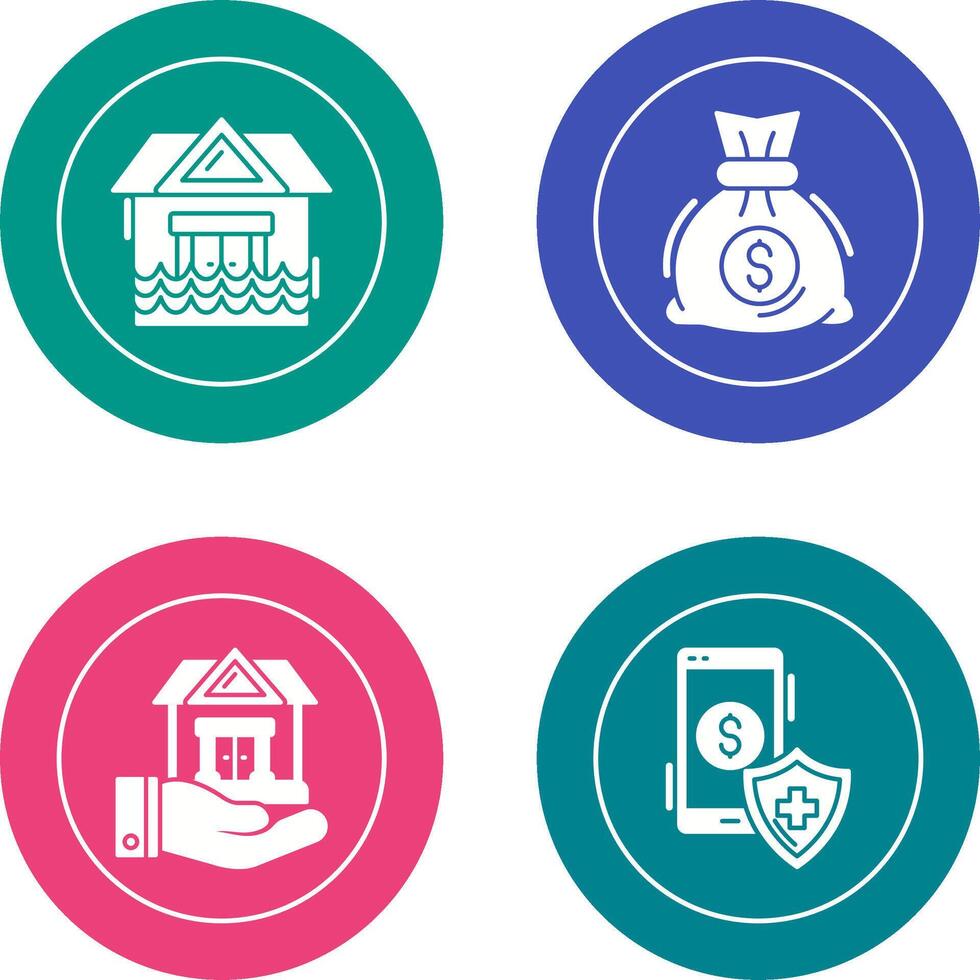 Natural Disaster and Money Bag Icon vector