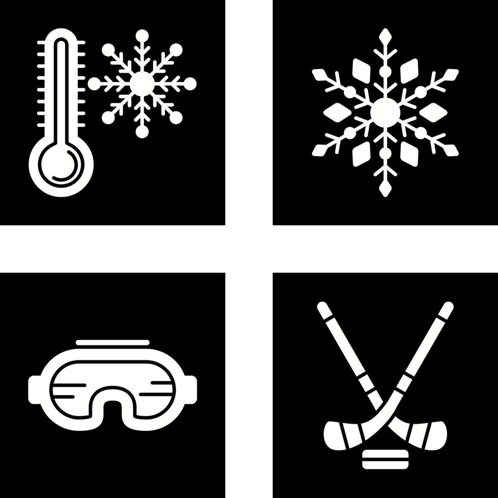 Snow Flake and Cold Icon vector