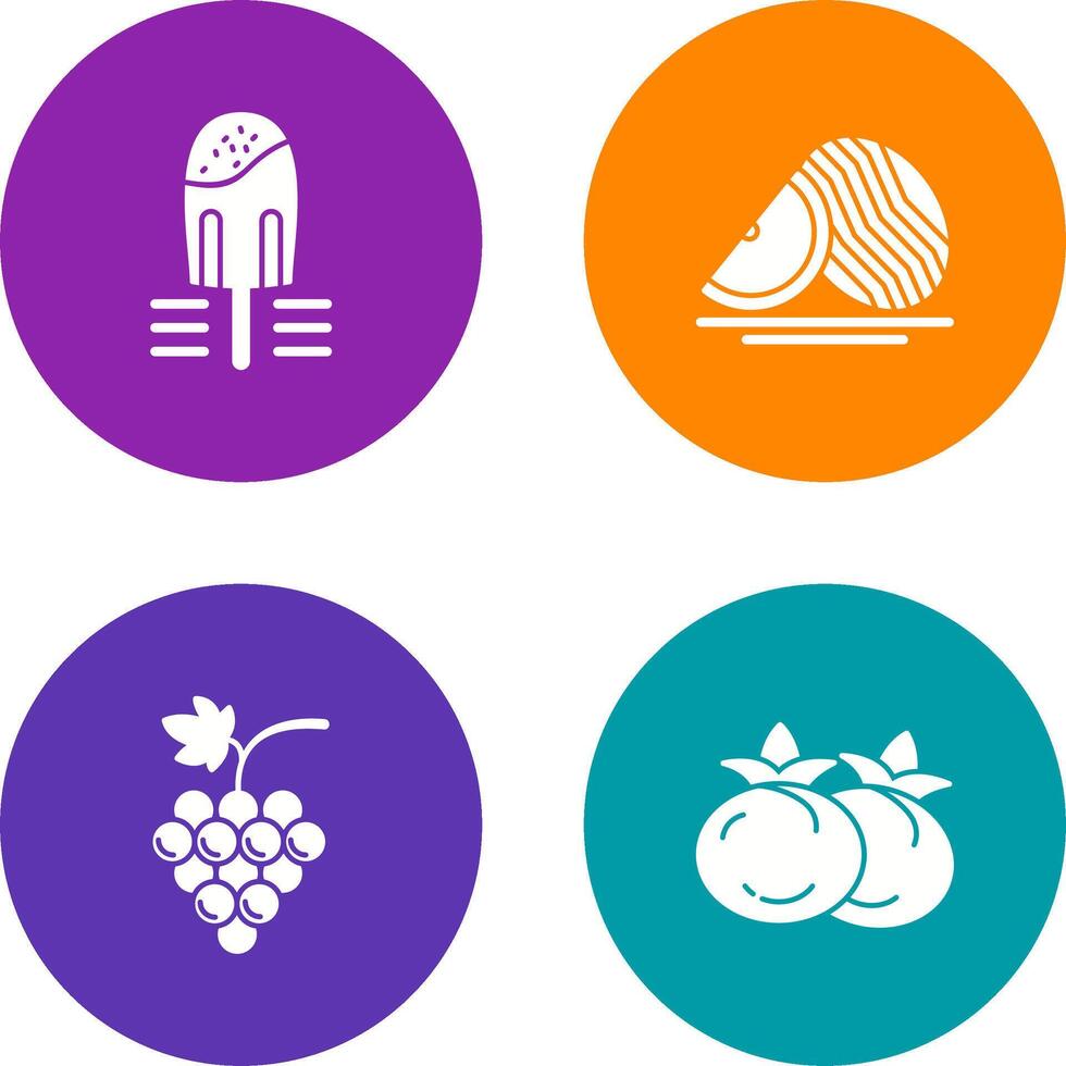 Popsicle and Watermelon Icon vector