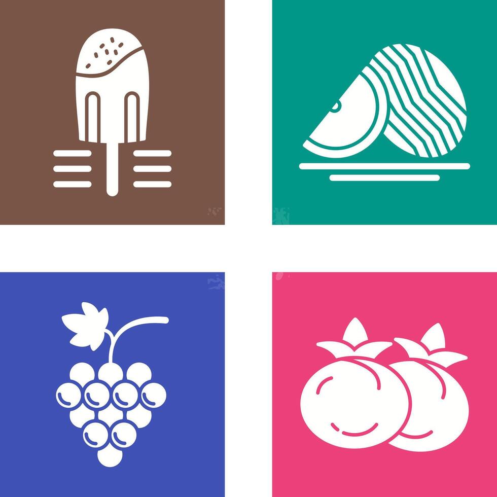 Popsicle and Watermelon Icon vector
