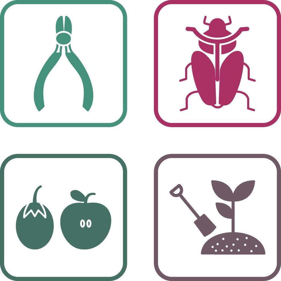 Cutter and Insect Icon vector