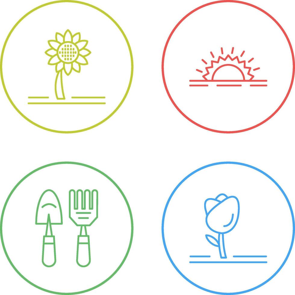 Sunflower and Sunshine Icon vector