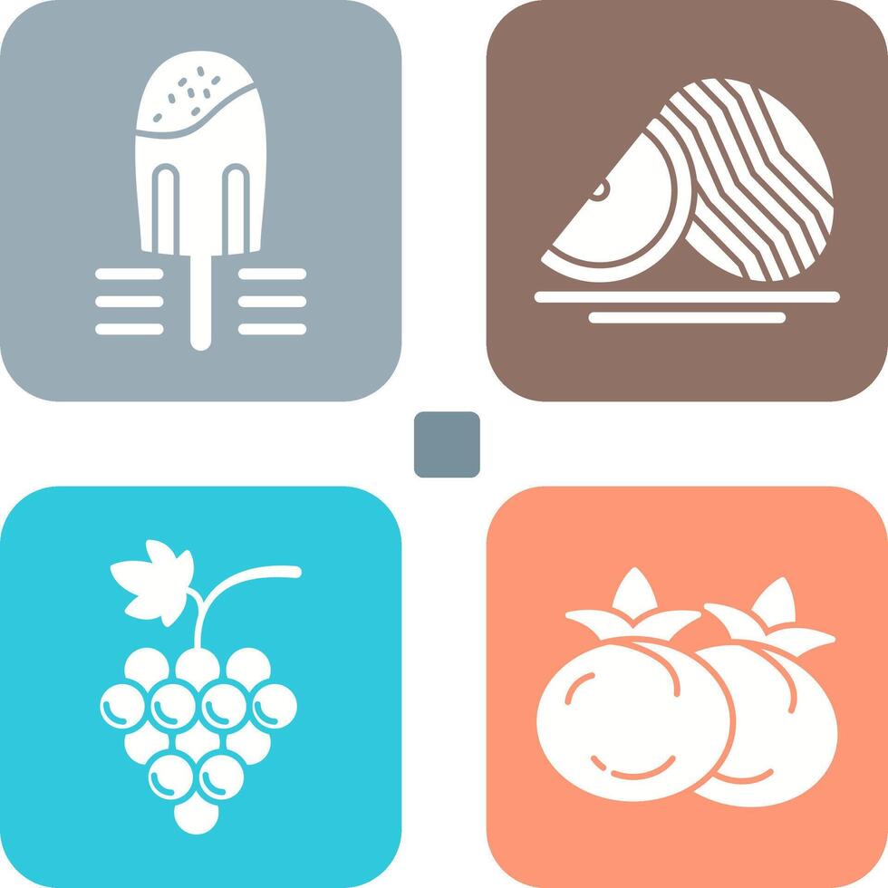 Popsicle and Watermelon Icon vector