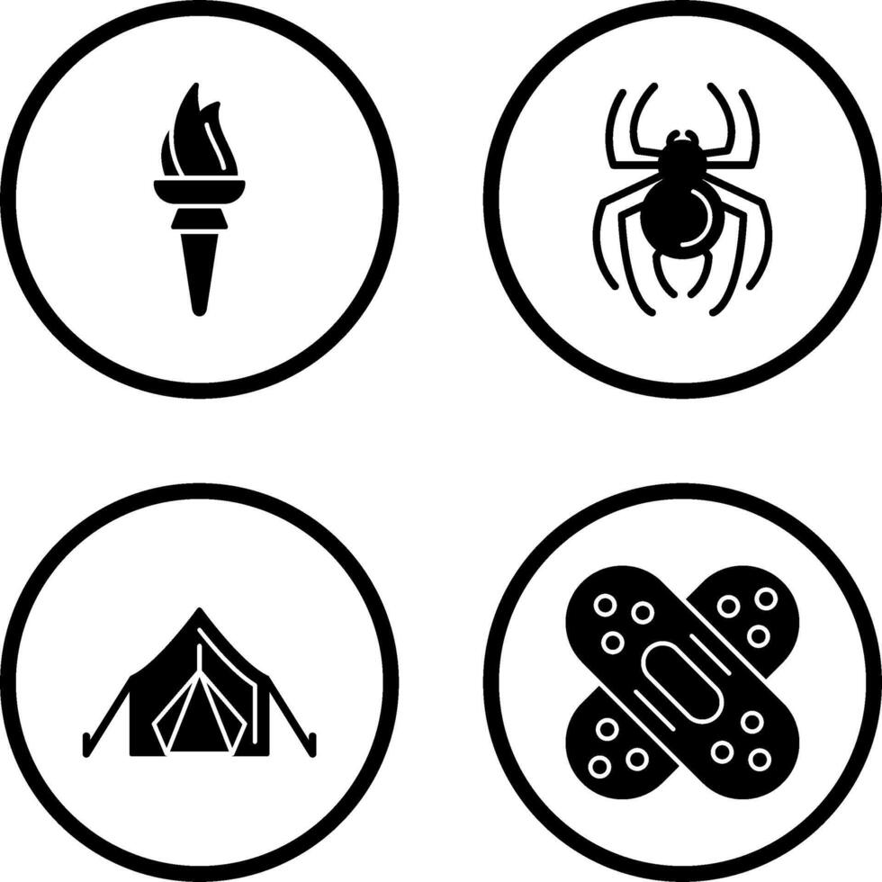 Torch and Spider Icon vector