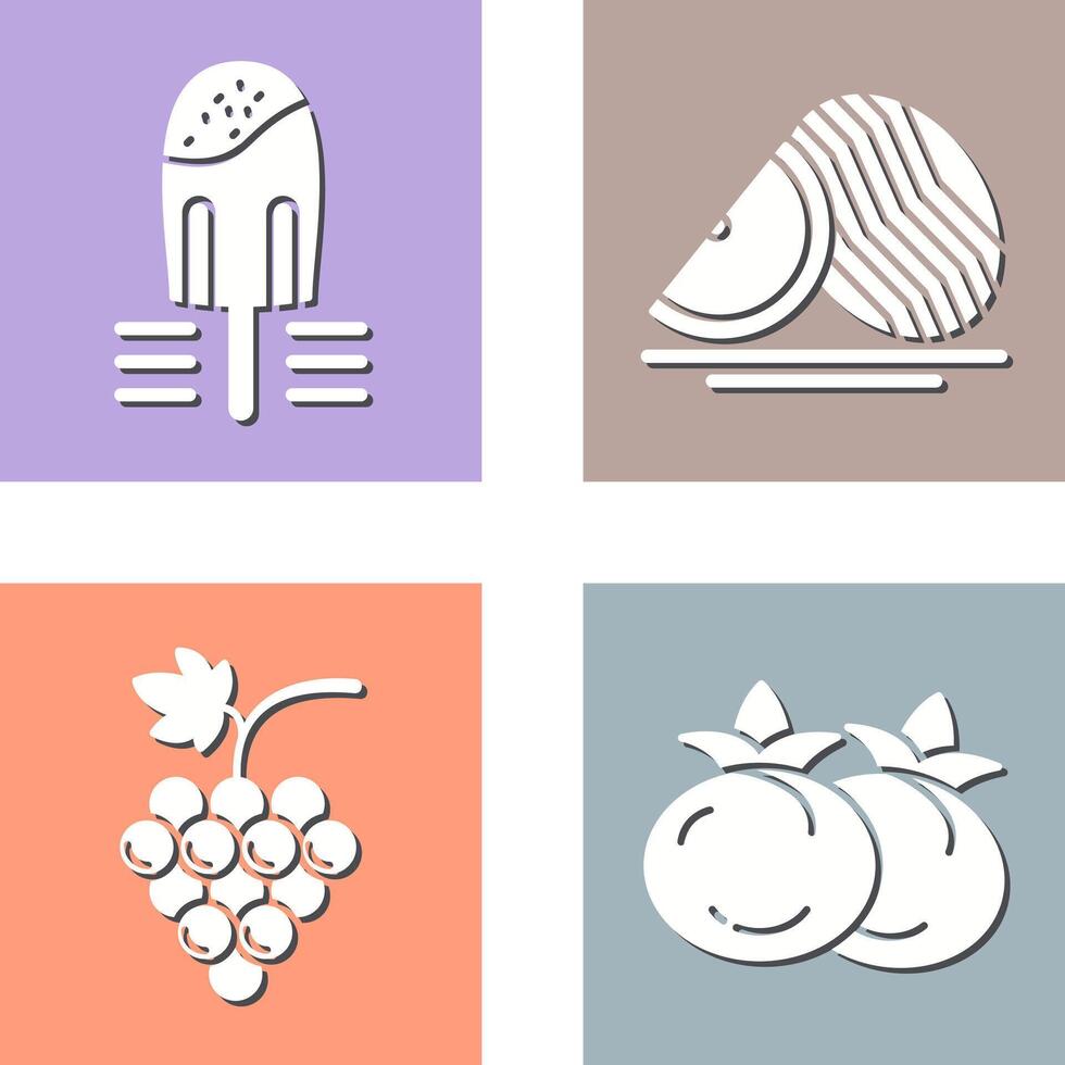 Popsicle and Watermelon Icon vector