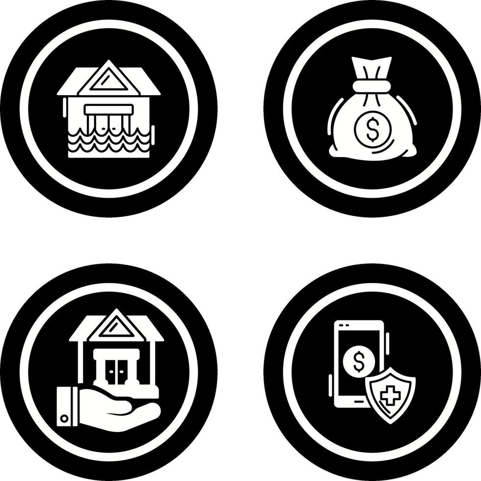 Natural Disaster and Money Bag Icon vector