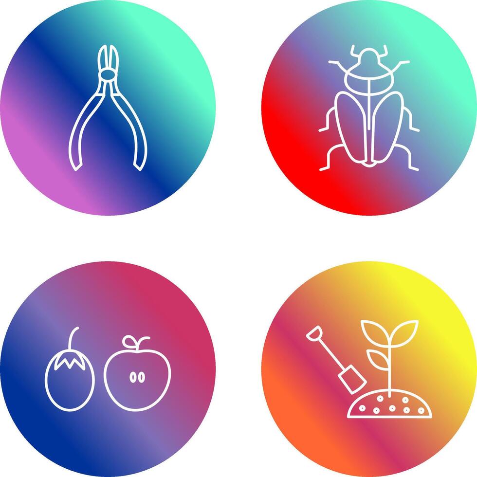 Cutter and Insect Icon vector