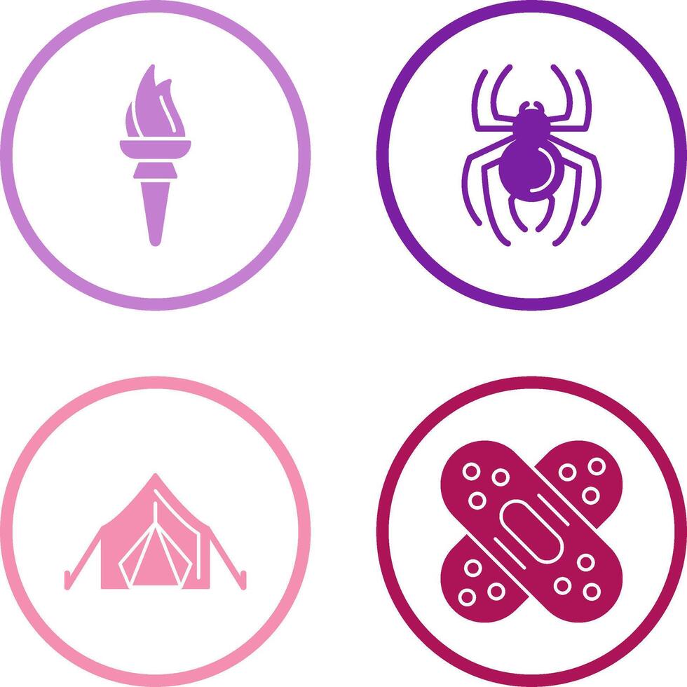 Torch and Spider Icon vector