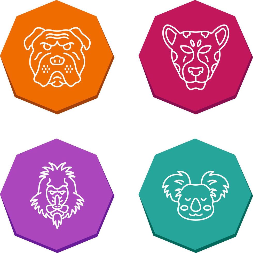 Bulldog and leopard Icon vector