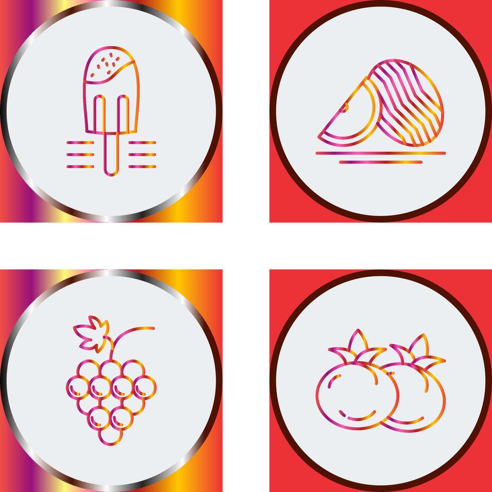 Popsicle and Watermelon Icon vector
