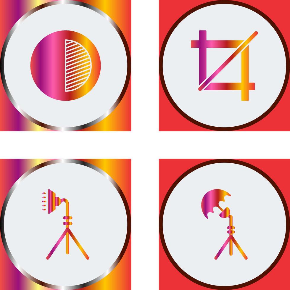 contrast and crop Icon vector