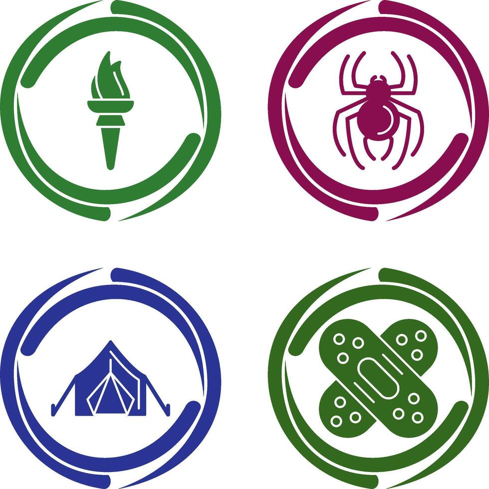 Torch and Spider Icon vector