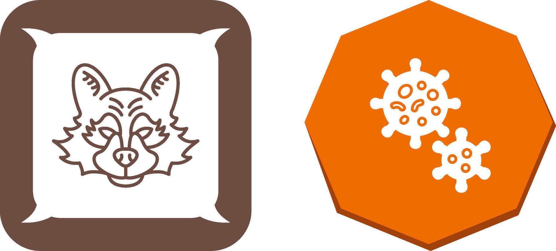 Raccoon Icon Design vector