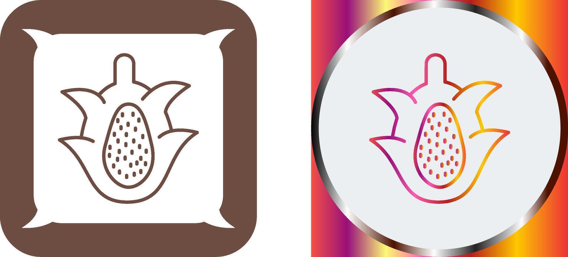 Dragon Fruit Icon Design vector