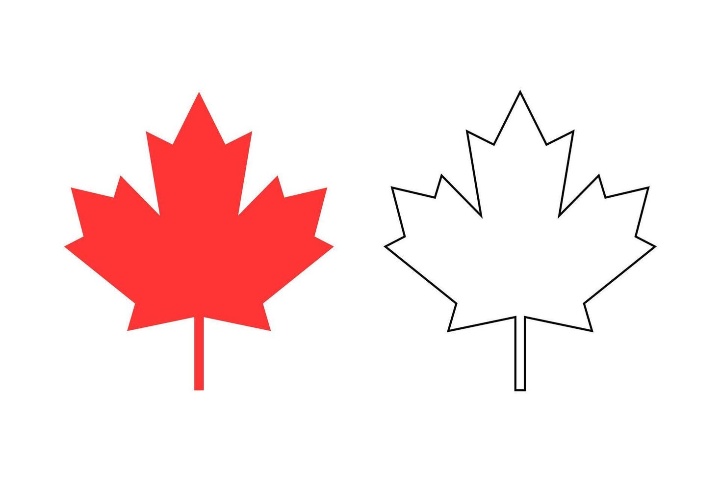 Red maple leaf of Canadian flag isolated illustration. Silhouette and outline on white background vector