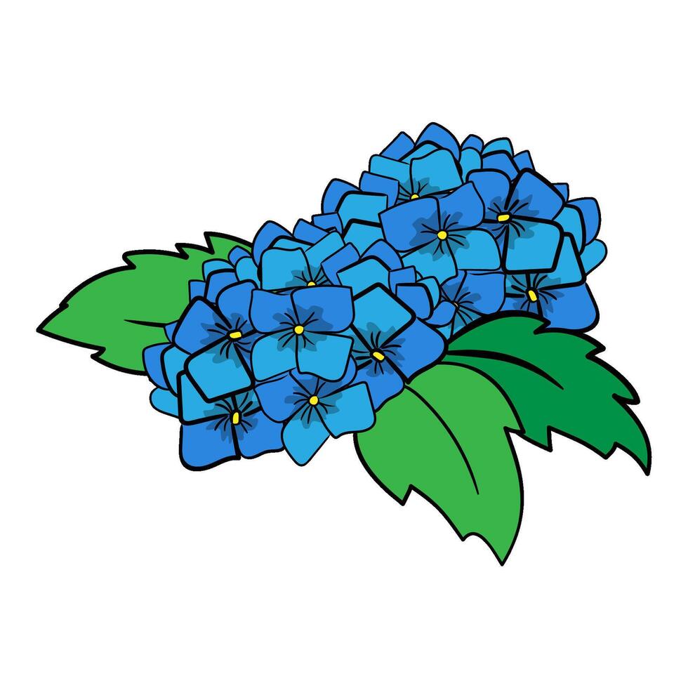 Flowers of Japanese hydrangea in hand-drawn style, concept about a rainy season. Isolated illustration for print, digital and more design vector