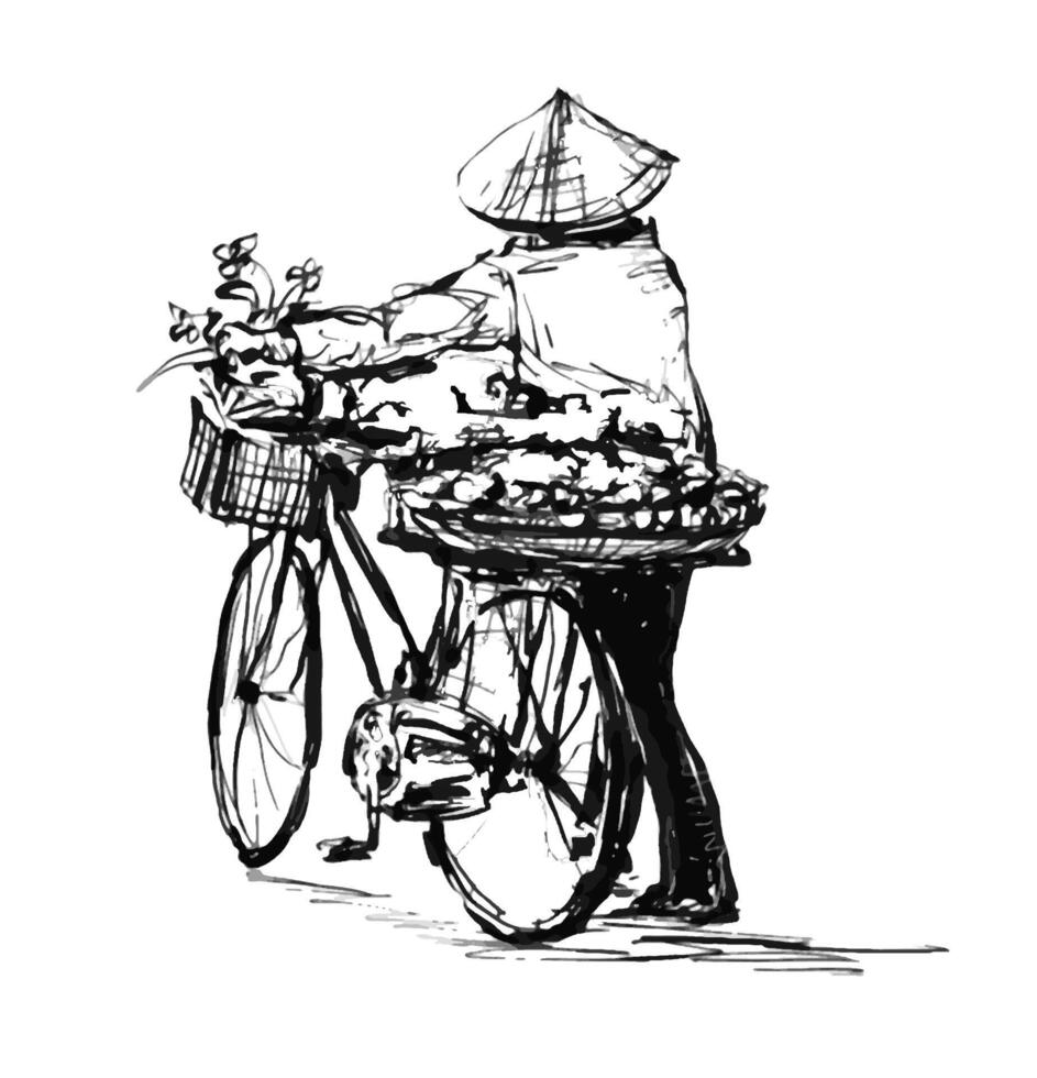 bosquejo de un mujer vietnamita ventas en el bicicleta vector