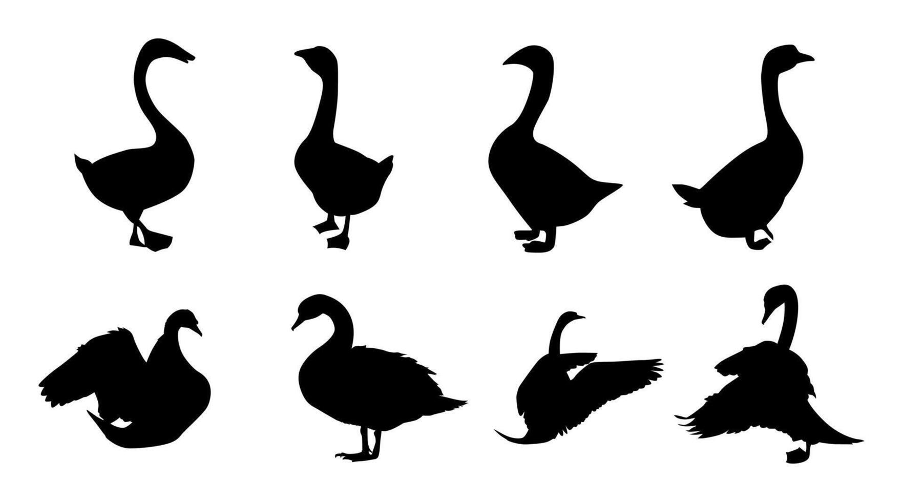 collection of swan animal silhouettes vector