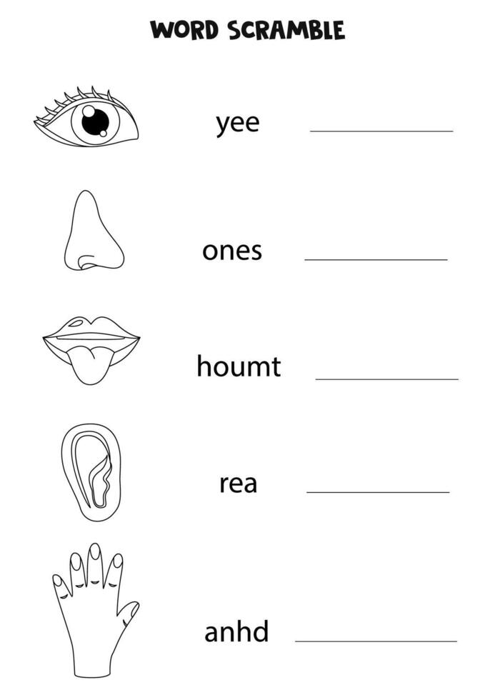 Puzzle for kids. Word scramble for children. Black and white sense organs. vector