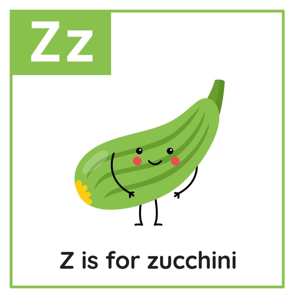 Fruit and vegetable alphabet flashcard for children. Learning letter Z. Z is for zucchini. vector