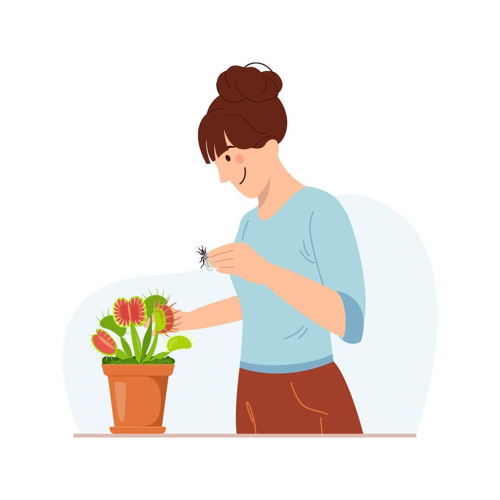 Girl taking care of carnivorous plant growing in pot. Young cute woman cultivating potted plants, feeding the plant with insects. Female character enjoying her hobby. Flat cartoon illustration vector