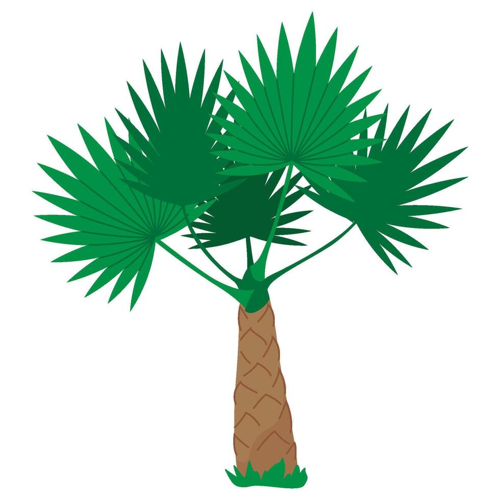 Indoor palm, home plant. Tropical palm tree. Flat illustration clipart isolated on white background vector