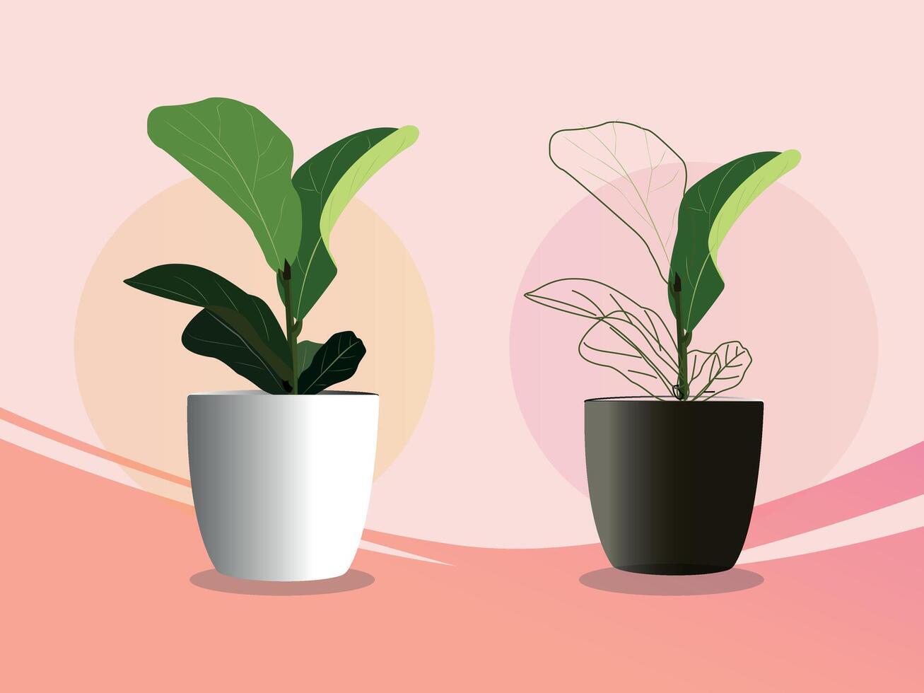 Large leaves indoor plant illustration vector