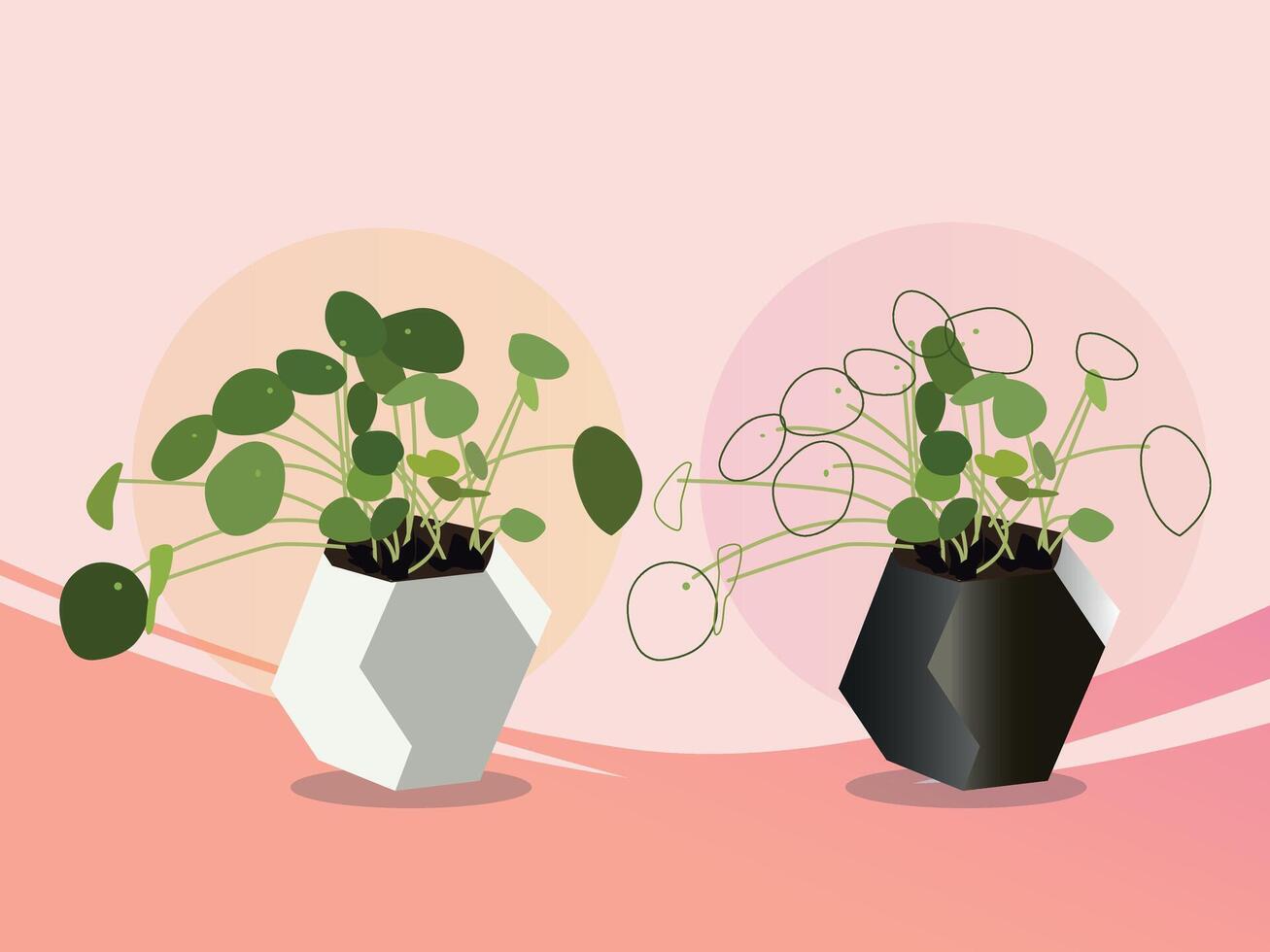 Coin plants indoor decorated, Collection of flower pots vector