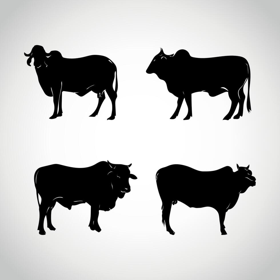 Set of cows. Silhouette cow isolated on white vector